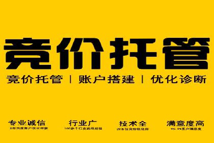 百度推广平台：从传统到数字营销的转型案例